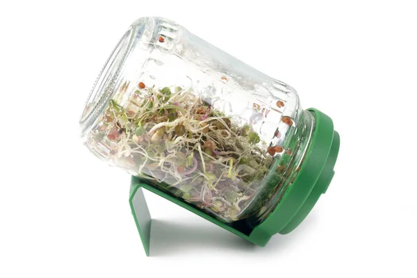 国产的塑料盖子玻璃瓶中的微青菜 — 图库照片