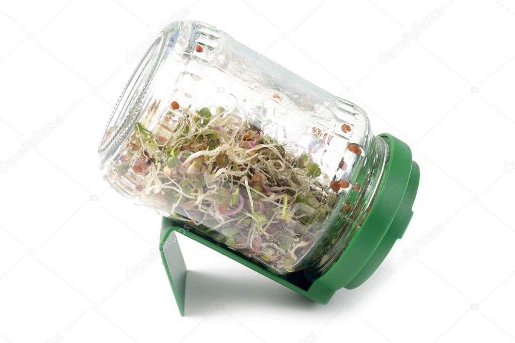 home grown microgreens in a glass jar with plastic lid
