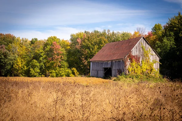 Ancienne grange abandonnée dans le paysage de la saison d'automne champ — Photo