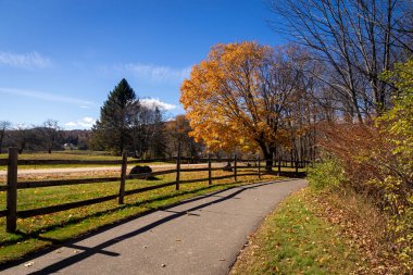 Stowe Vermont Eğlence Parkı manzarası sonbaharda