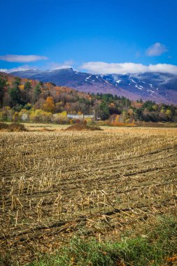 Mansfield Dağı zirvesi ve kayak merkezi Vermont Usa peyzaj zekası