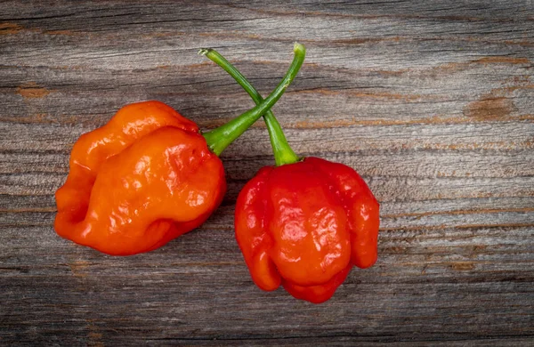 Färsk Trinidad Moruga Skorpion Skida Capsicum Chinense Ett Trä Rustika — Stockfoto