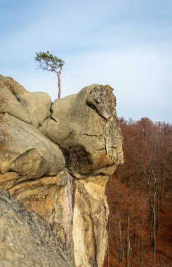 Dovbush sonbahar kayalar