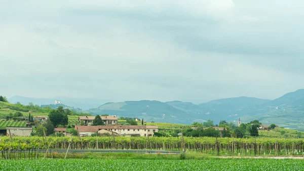 Travel Rural Italy Landscape — Stock Photo, Image