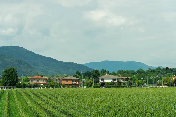 Travel Rural Italy Landscape — Stock Photo, Image