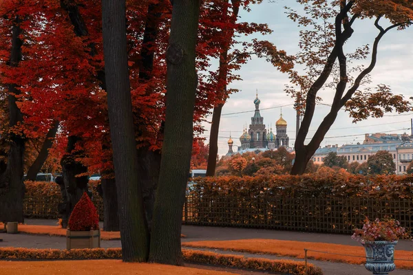 Outono Dourado Jardim Verão São Petersburgo — Fotografia de Stock