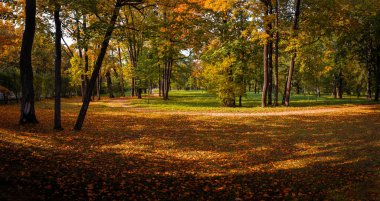 Sonbahar manzarası, eski Park 'taki göl manzarası..