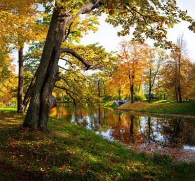Sonbahar manzarası, eski Park 'taki göl manzarası. Tsarskoe Selo, Saint Petersburg.