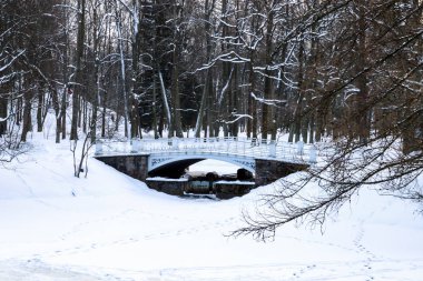 Kış manzarası. Donmuş gölet üzerinde köprü. Karla kaplı park bir soğuk kış gününde.