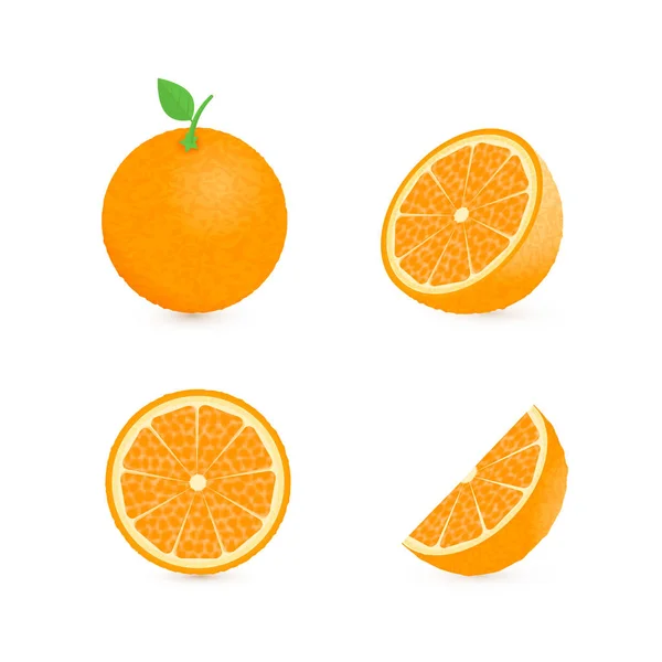 Ensemble Quatre Oranges Fraîches Vues Différentes Entier Moitié Tranche Cône — Image vectorielle