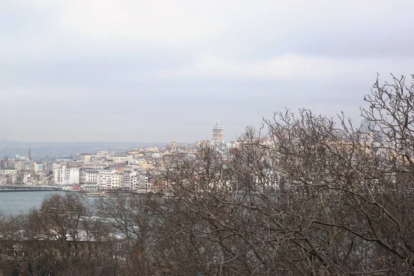 Vista Estambul Través Ramas Árboles Paisaje Urbano Día Nublado Primavera — Foto de Stock