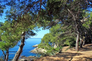 Bir Lloret de Mar, Costa Brava, Katalonya, İspanya Deniz Manzaralı. Deniz kenarı yeşil ağaçlar. Yaz güneşli gün.
