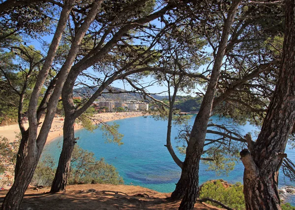 Vista Mar Playa Través Los Árboles Rocas Agua Lloret Mar —  Fotos de Stock