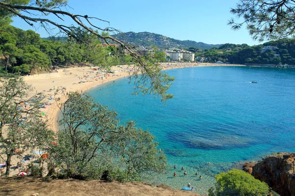 Vista Praia Fenals Lloret Mar Costa Brava Catalunha Espanha — Fotografia de Stock