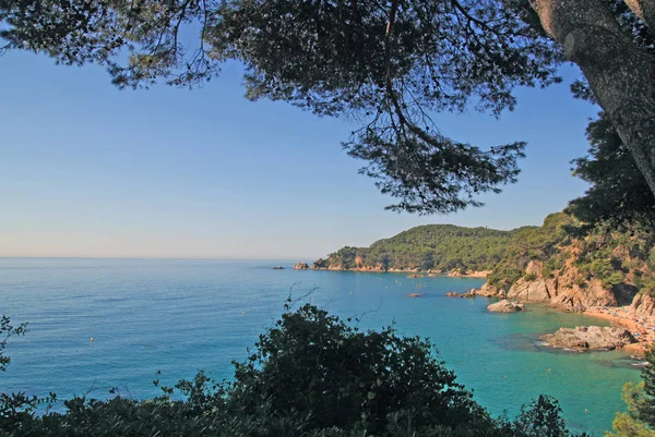 Giardini Santa Clotilde Bella Vista Sul Mare Della Spiaggia Boadella — Foto Stock