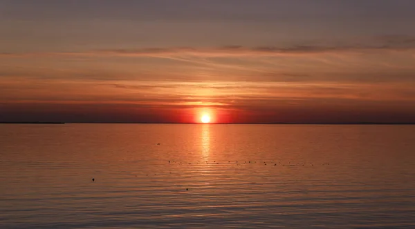 Hermosa puesta de sol sobre el mar. El sol se pone en el agua. El cielo está pintado con colores brillantes. Playa al atardecer en una noche de verano. Golfo de Finlandia, Mar Báltico, Kronstadt, San Petersburgo, Rusia . — Foto de Stock