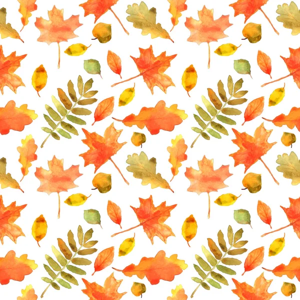 El otoño deja un patrón sin costuras. Pintura acuarela dibujada a mano . — Foto de Stock