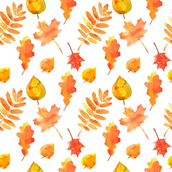 Autumn leaves seamless pattern. Hand drawn watercolor painting. — Stock Photo, Image