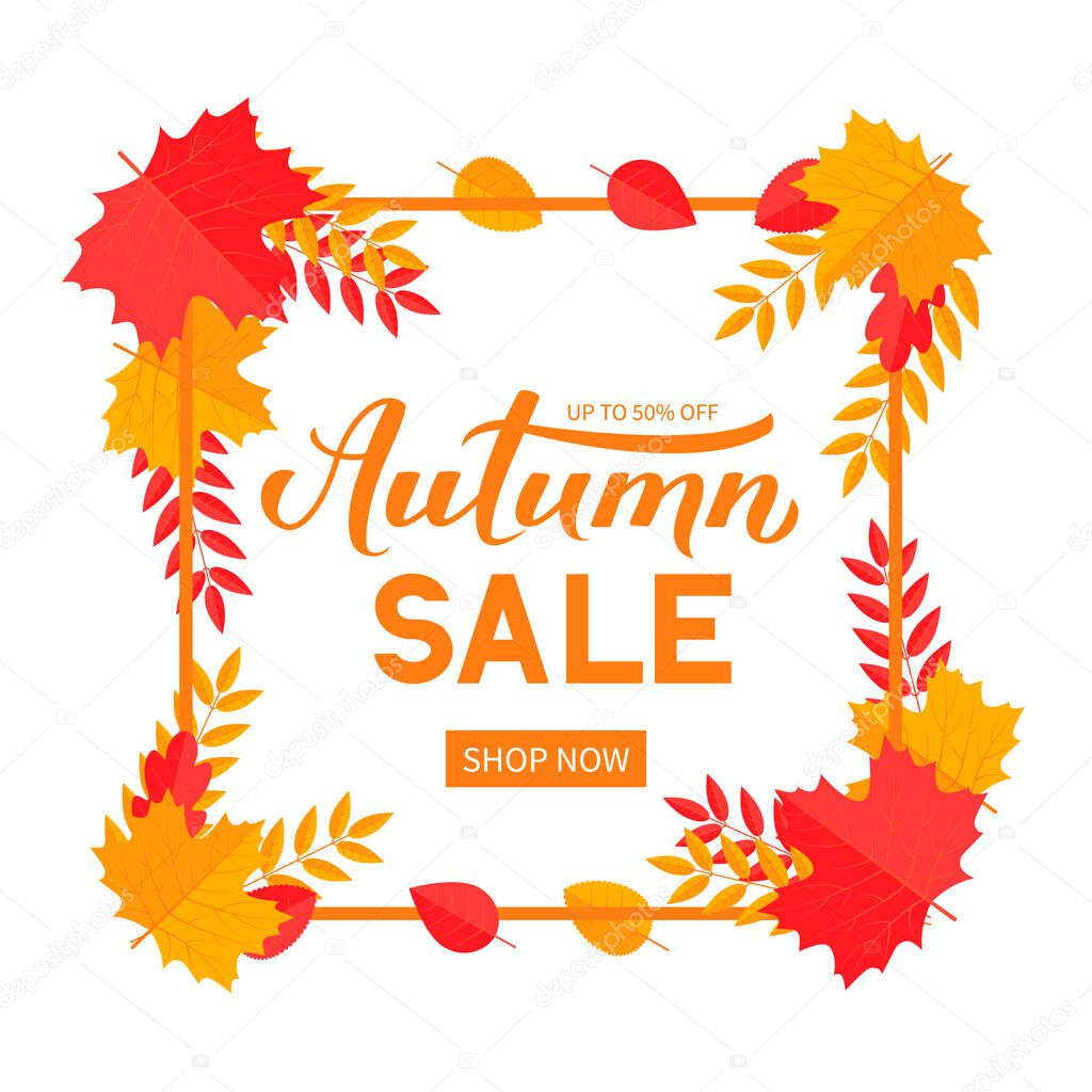 Autumn Sale calligraphy hand lettering with colorful fall leaves and frame. Seasonal discount promotion banner. Easy to edit vector template for advertising poster, flyer, card, tag, label, etc.