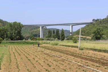 Ekilmiş tarla. Sahada çalışan bir adam. Köprü ve tepeler