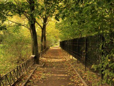Sonbahar güneşli bir günde şehir parkı. Yol dökülen yapraklarla dolu. Evet.