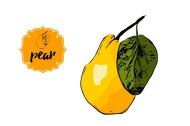 beyaz üzerinde izole yeşil yaprak ile sarı ve turuncu renklerde armut çizilmiş karikatür el. Armut Retro mağaza etiket rozeti. İş meyve kırmızı Vintage Sticker. Web için sonbahar meyve illüstrasyon, baskı.