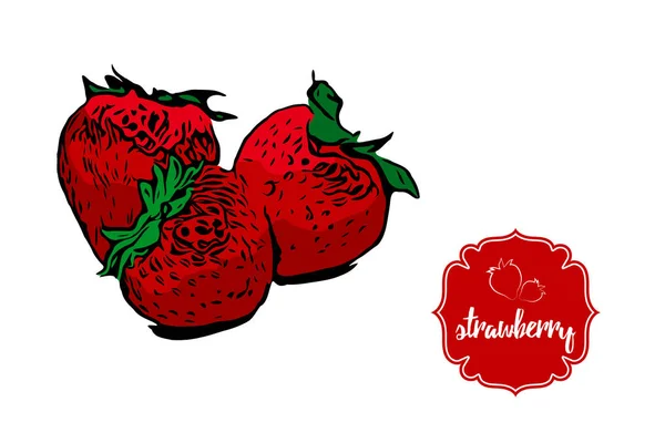 Drei Handgezeichnete Karikaturen Roter Erdbeeren Isoliert Auf Weißem Hintergrund Erdbeer — Stockvektor
