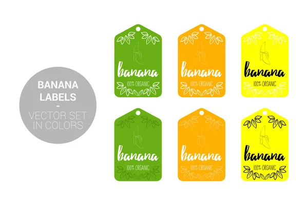 Μπανάνα Φρούτο Πράσινες Ετικέτες Διανύσματος Πράσινα Κίτρινα Χρώματα Διαφήμιση Κινουμένων — Διανυσματικό Αρχείο