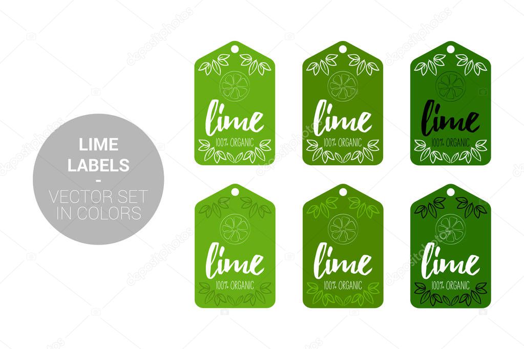 lime fruit eco labels vector set in green dark green colors cartoon advertising hundred percent organic stickers citrus fruit badges with hand drawn lime and little leaves ready for web and