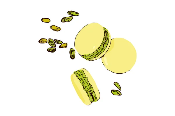 Macarrón Postre Francés Macarrones Pistacho Sobre Fondo Blanco Con Nueces — Vector de stock