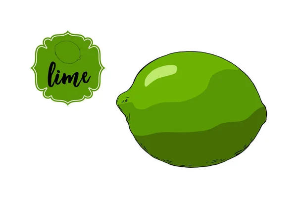 Dibujos Animados Dibujado Fruta Limón Aislado Blanco Placa Etiqueta Verde — Vector de stock