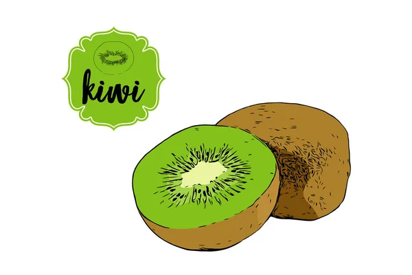 Dibujos Animados Kiwi Dibujado Fruta Aislada Blanco Placa Etiqueta Verde — Vector de stock