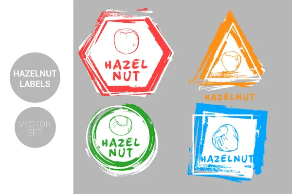 Hazelnoot Kleurrijke Label Set Ruwe Biologische Noten Badge Vormen Creatieve — Stockvector