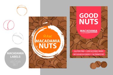 Fırça darbe elemanları ve karikatür çizilmiş fındık doku ile Macadamia fındık etiketleri. metin ile ürün Badge: glutensiz, düşük glisemik indeksi, şeker alkoller, 0g trance yağ. web için hazır etiket, baskı