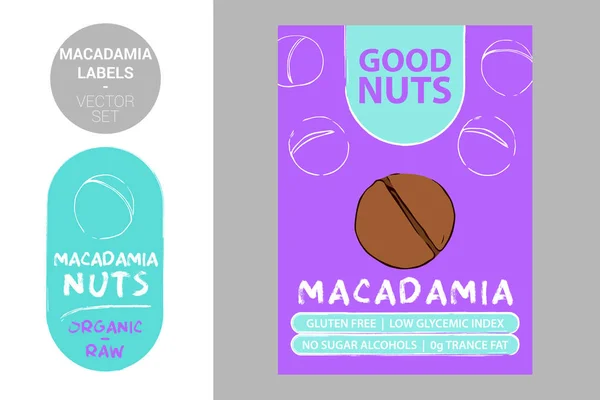 Macadamia fındık renkli etiketler. Karikatür el fındık çizilmiş. Metin ile Fındık ürün Badge: glutensiz, düşük glisemik indeksi, şeker alkoller, 0g trance yağ. Ham organik etiket web ve baskı için hazır.