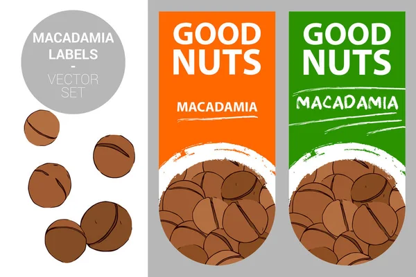 Macadamia fındık ürün etiketleri turuncu ve yeşil renklerde fındık dokusu ve fırça darbesi ile yaratıcı tasarım öğeleri çizilmiş. macadamia fındık beyaz arka plan üzerinde izole. Somun rozetleri web için hazır, baskı.