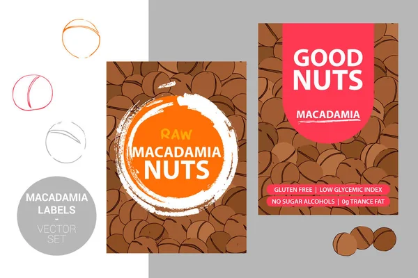 Macadamia Nuts Labels Met Penseelstreek Elementen Cartoon Getekende Moer Textuur — Stockvector