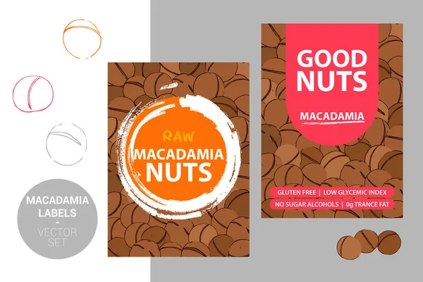 Fırça darbe elemanları ve karikatür çizilmiş fındık doku ile Macadamia fındık etiketleri. metin ile ürün Badge: glutensiz, düşük glisemik indeksi, şeker alkoller, 0g trance yağ. web için hazır etiket, baskı