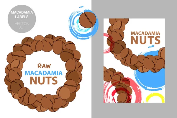 Raw Macadamia Nuts Label Creatieve Kleurrijke Badge Met Halve Cirkel — Stockvector