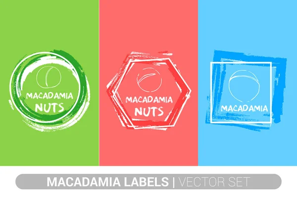 Macadamia Noten Kleurrijke Label Set Ruwe Biologische Noten Badge Vormen — Stockvector