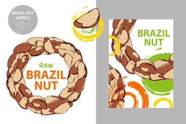Ham brezilya fındık etiketi. Fındık yarım daire ile Yaratıcı renkli rozeti. Beyaz arka plan üzerinde izole brezilya fındık çizilmiş el daire. Vektör somun tasarım elemanları web ve baskı için hazır.