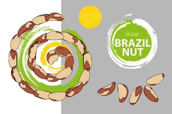 Espiral Tuercas Brasileñas Con Círculo Pinceladas Verde Amarillo Sobre Fondo — Vector de stock