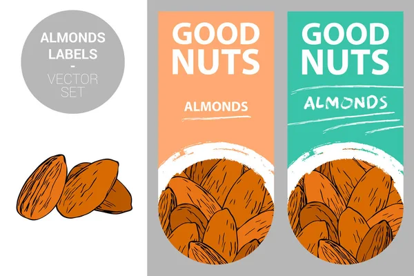 Étiquettes Produits Amandes Aux Couleurs Pastel Avec Texture Noix Trait — Image vectorielle