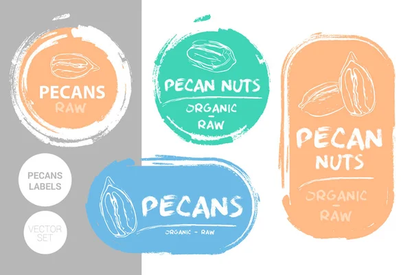 Pecan Nuts Kleurrijke Label Set Rauwe Biologische Pecannoten Badge Shapes — Stockvector