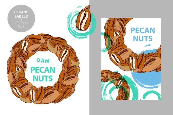 Étiquette Noix Pécan Crues Badge Coloré Créatif Avec Demi Cercle — Image vectorielle