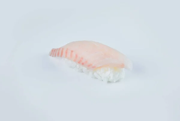 Japanese Nigiri Sushi Raw Rockfish Fillet Sashimi Rice Isolation Gray — Stock Photo, Image