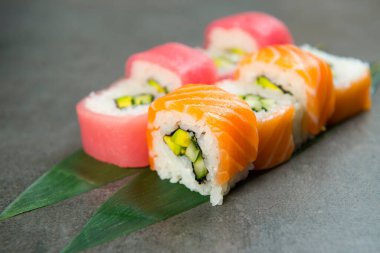 İçinde salatalık ve avokado bulunan ton balıklı sashimi dilimlenmiş Japon suşi rulosu. Koyu antrasit arkaplanda yeşil bambu yapraklarında servis edilir..