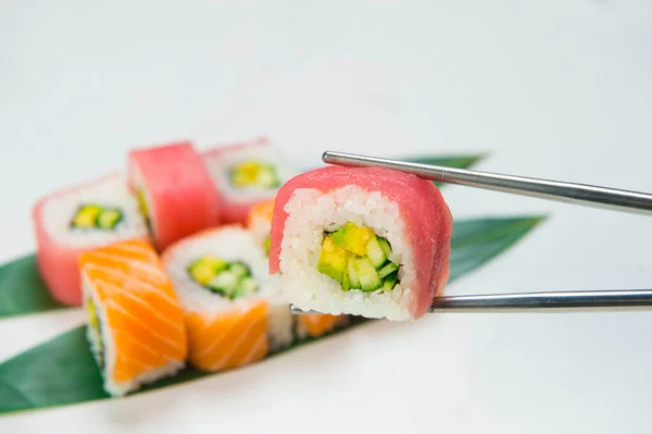 Makro Záběr Sushi Roll Kus Lososem Plátky Tuňáka Horní Držení — Stock fotografie
