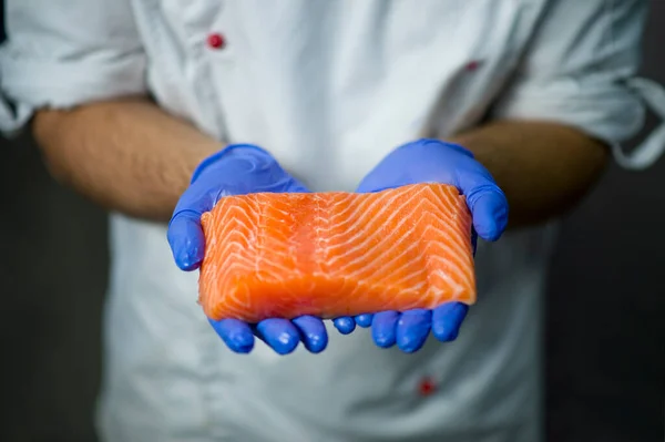 Sushi Chef holding piece of fresh raw salmon fillet in hands in protective gloves. Fish fillet in focus on blurred background. Sushi master holds fish before cooking sushi