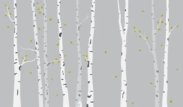 Birch Tree Siluett Bakgrund — Stock vektor